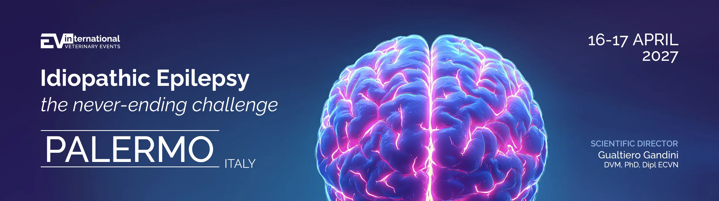 Idiopathic Epilepsy - the never-ending challenge | Scivac International Congress | Palermo, 16-17 April, 2027