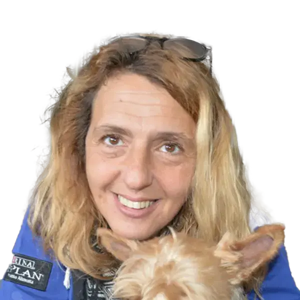 Dynamic Content Image